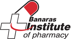 BIP Logo
